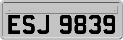 ESJ9839