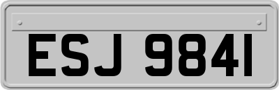 ESJ9841