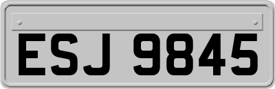 ESJ9845