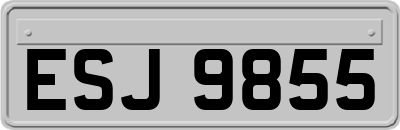 ESJ9855