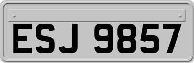 ESJ9857