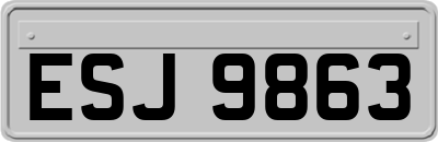 ESJ9863