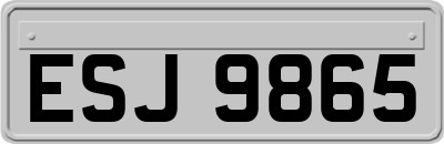 ESJ9865