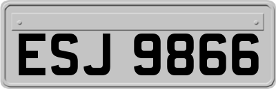 ESJ9866