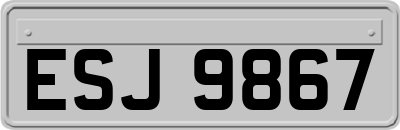 ESJ9867