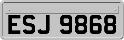 ESJ9868