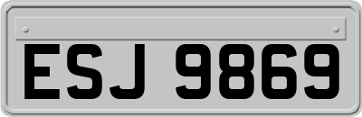 ESJ9869