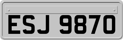 ESJ9870