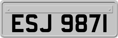 ESJ9871
