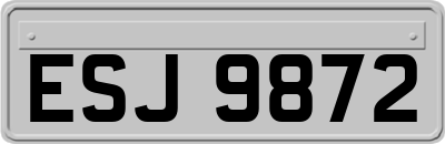 ESJ9872