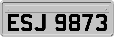 ESJ9873