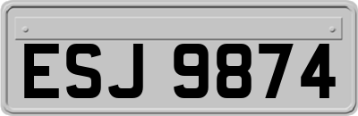 ESJ9874