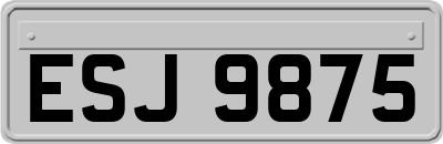 ESJ9875