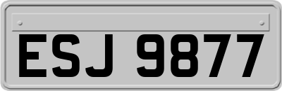 ESJ9877