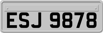 ESJ9878