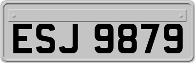 ESJ9879
