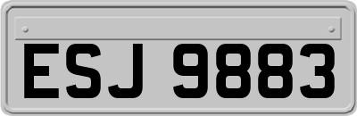 ESJ9883