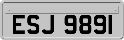 ESJ9891