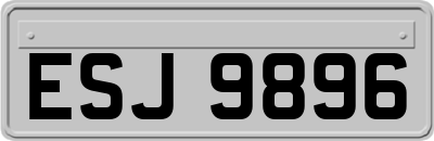 ESJ9896