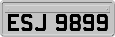 ESJ9899