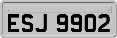 ESJ9902