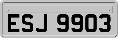 ESJ9903