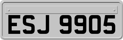 ESJ9905