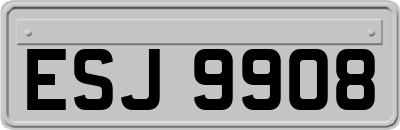 ESJ9908