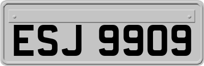 ESJ9909