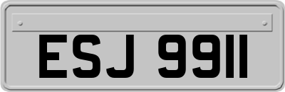 ESJ9911
