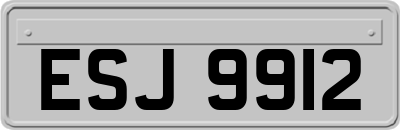ESJ9912