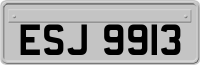 ESJ9913