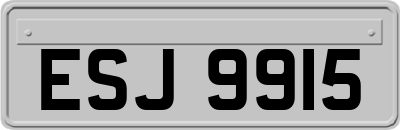 ESJ9915