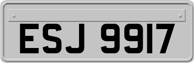 ESJ9917