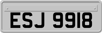ESJ9918