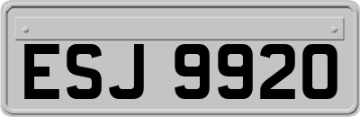 ESJ9920