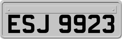ESJ9923