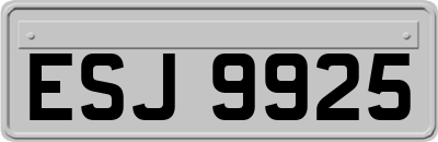 ESJ9925
