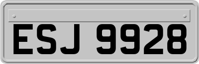 ESJ9928