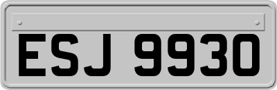 ESJ9930