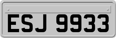 ESJ9933