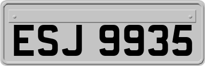 ESJ9935
