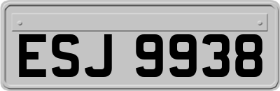ESJ9938