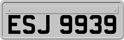 ESJ9939