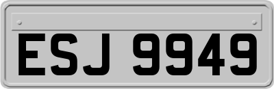 ESJ9949