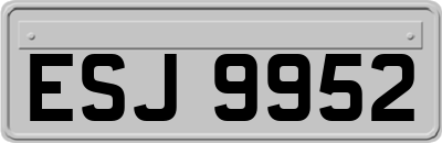ESJ9952