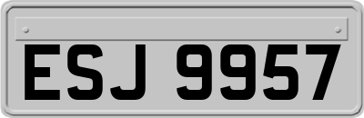 ESJ9957