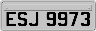 ESJ9973