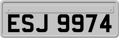 ESJ9974