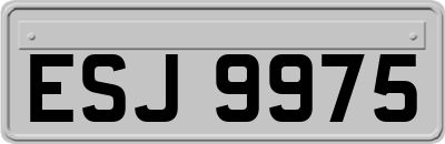 ESJ9975